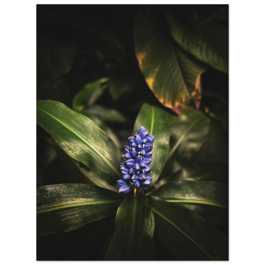 01f24a2f-d830-4fc6-b151-c32473ddbde7