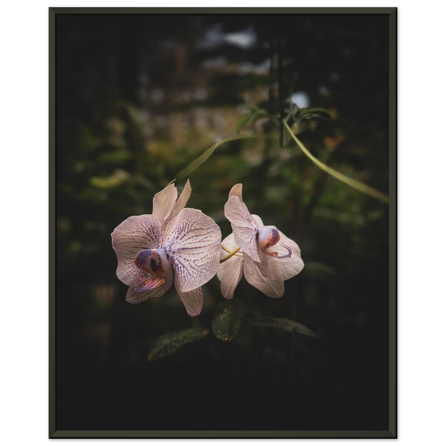 05dbe2c8-3ba2-4eed-a736-fe46d89f7579