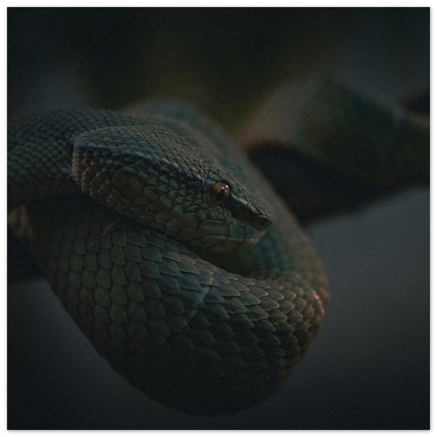 12fed36e-2bd9-4c49-9117-a54581c92795