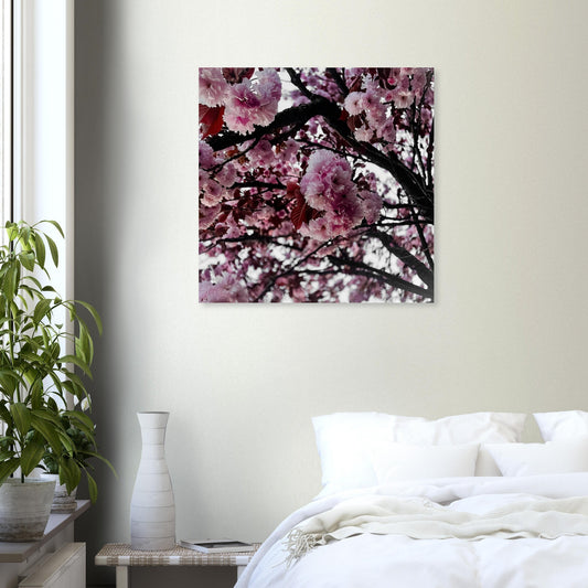 2646a6ac-96f6-4920-afc6-77c949e7e1ce