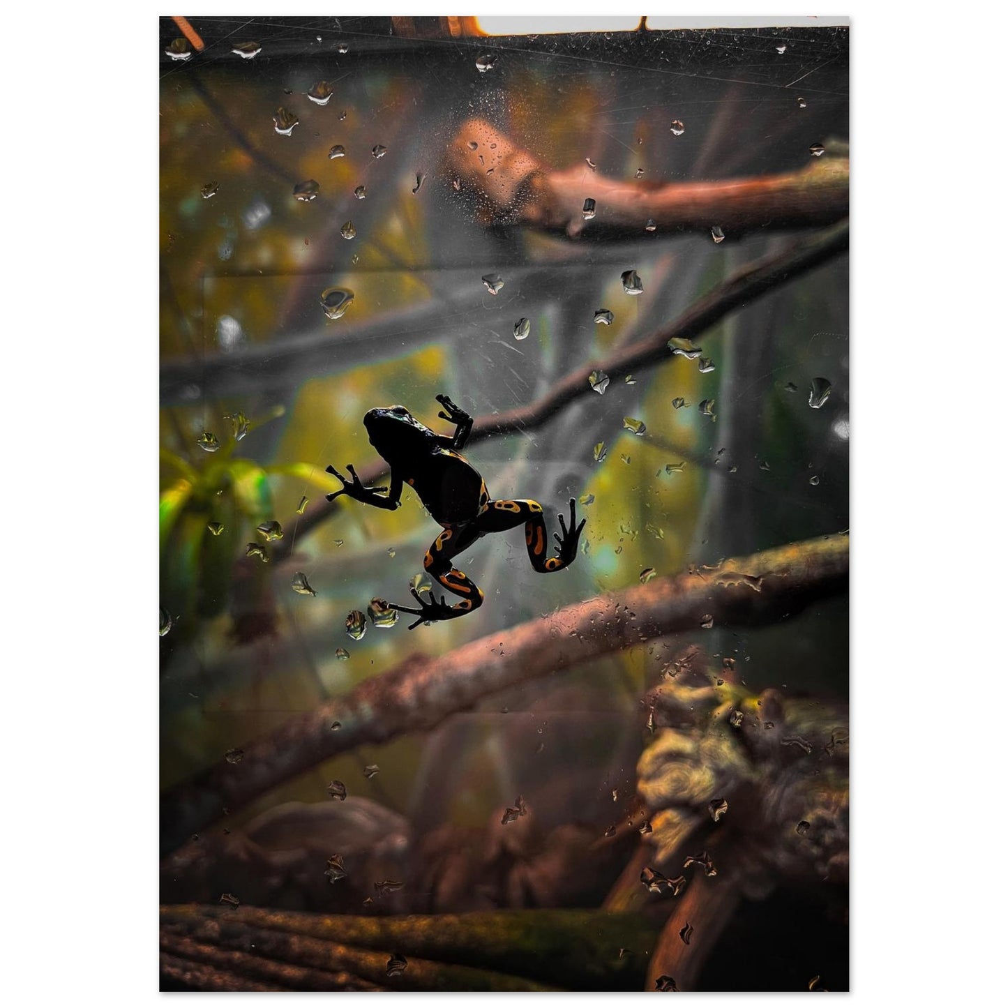 288b0779-1776-4412-b8d9-38be7ace0ec1