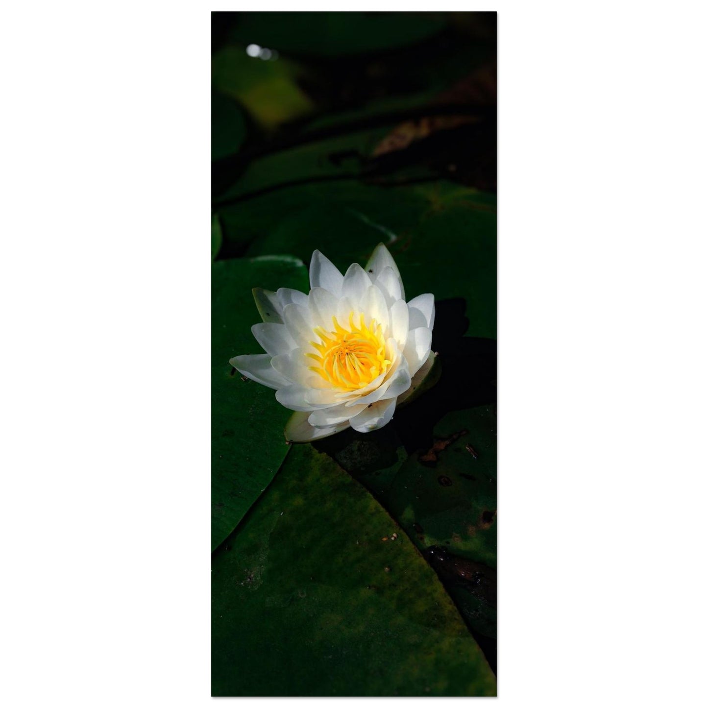 3082a306-a771-4458-b613-5cdcc099c7ce