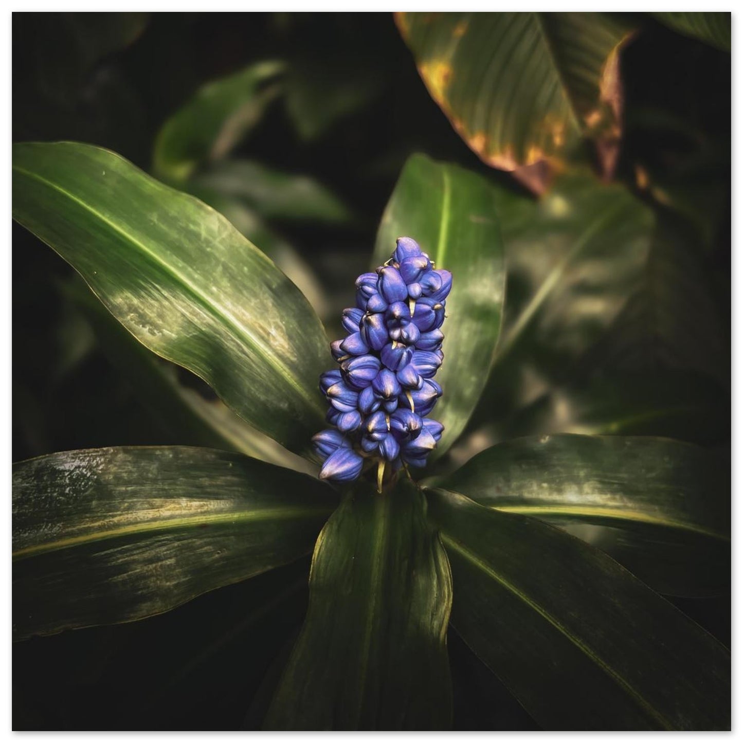 480c8ef7-a036-40d2-81e7-6ea18f3da8c3