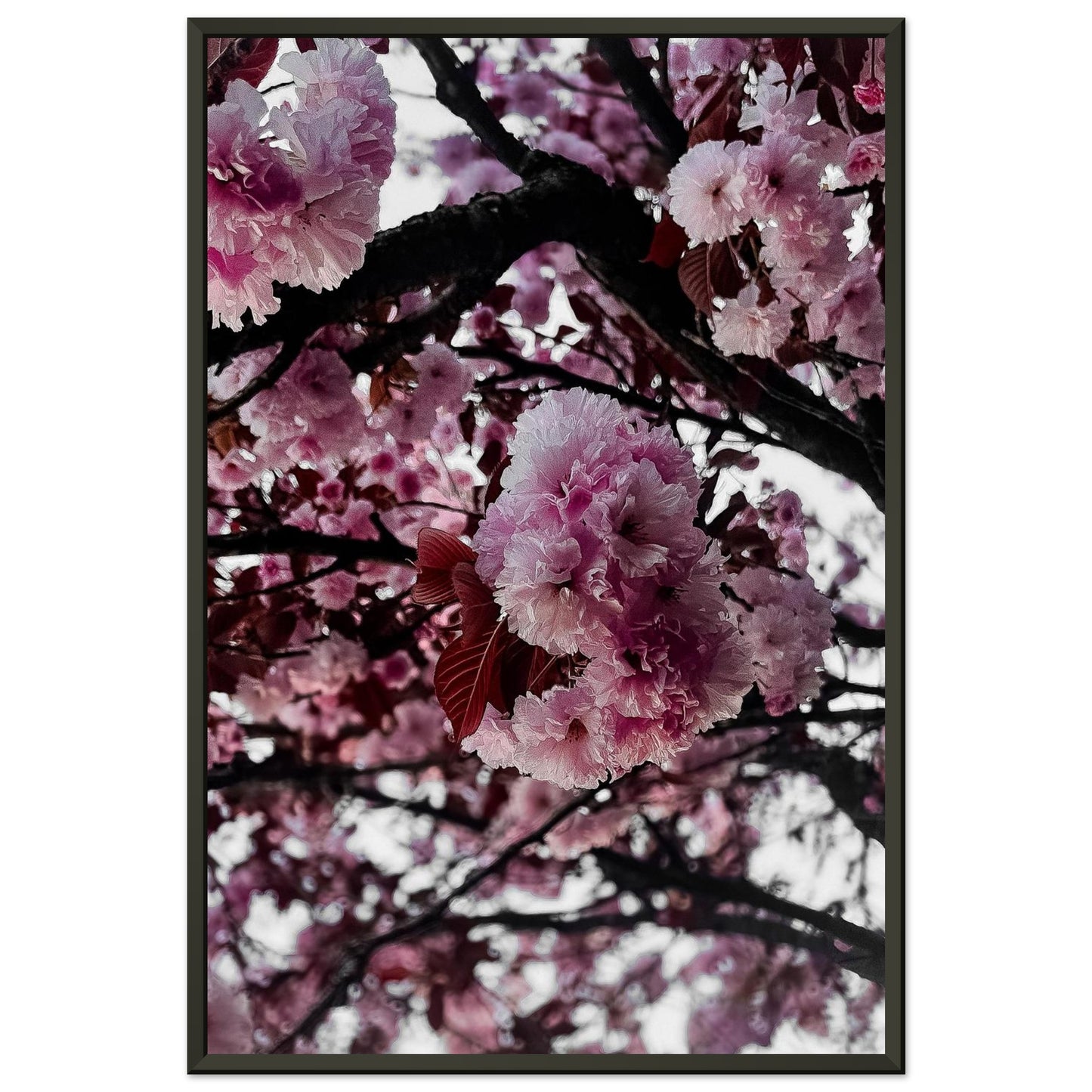 4ec73cc8-c700-4a87-87bd-2495f0d935ea