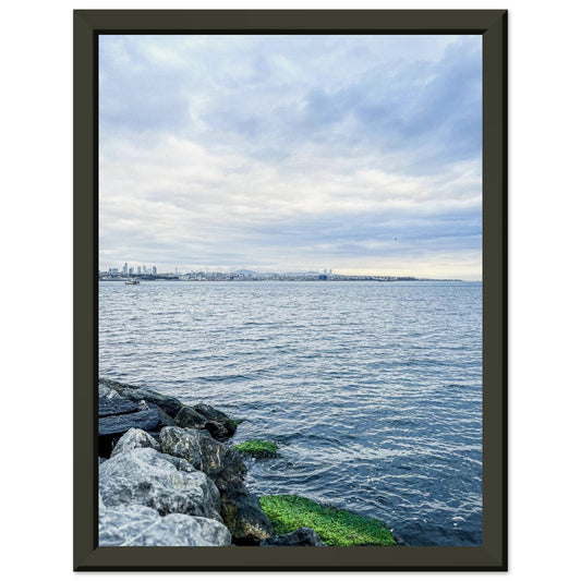 535a6fb7-a631-4435-8419-345bef5a14b6