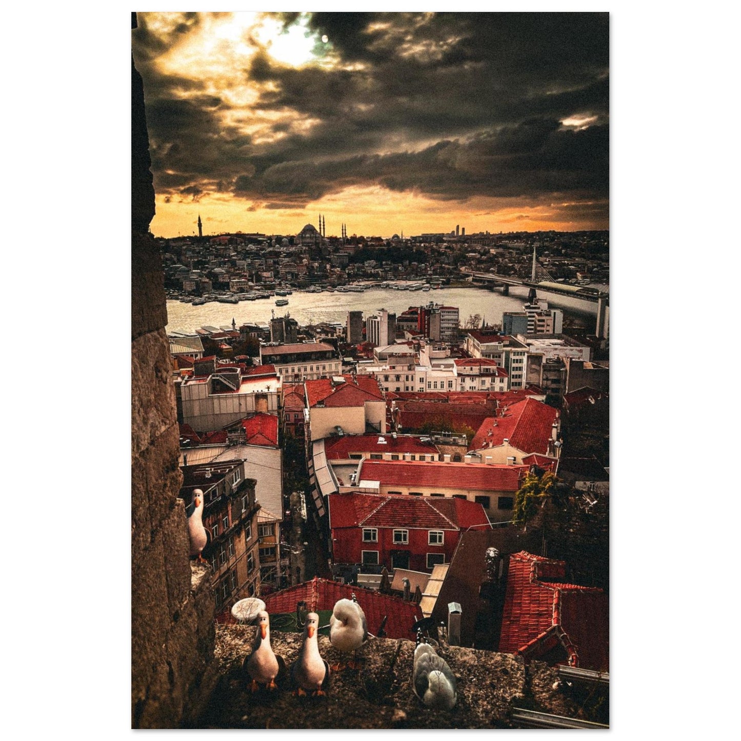 8e75807f-0016-4aee-8d0e-46c0857c7db7