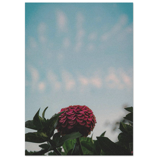 99b1751f-0f88-4d67-8577-58990a82c9d5