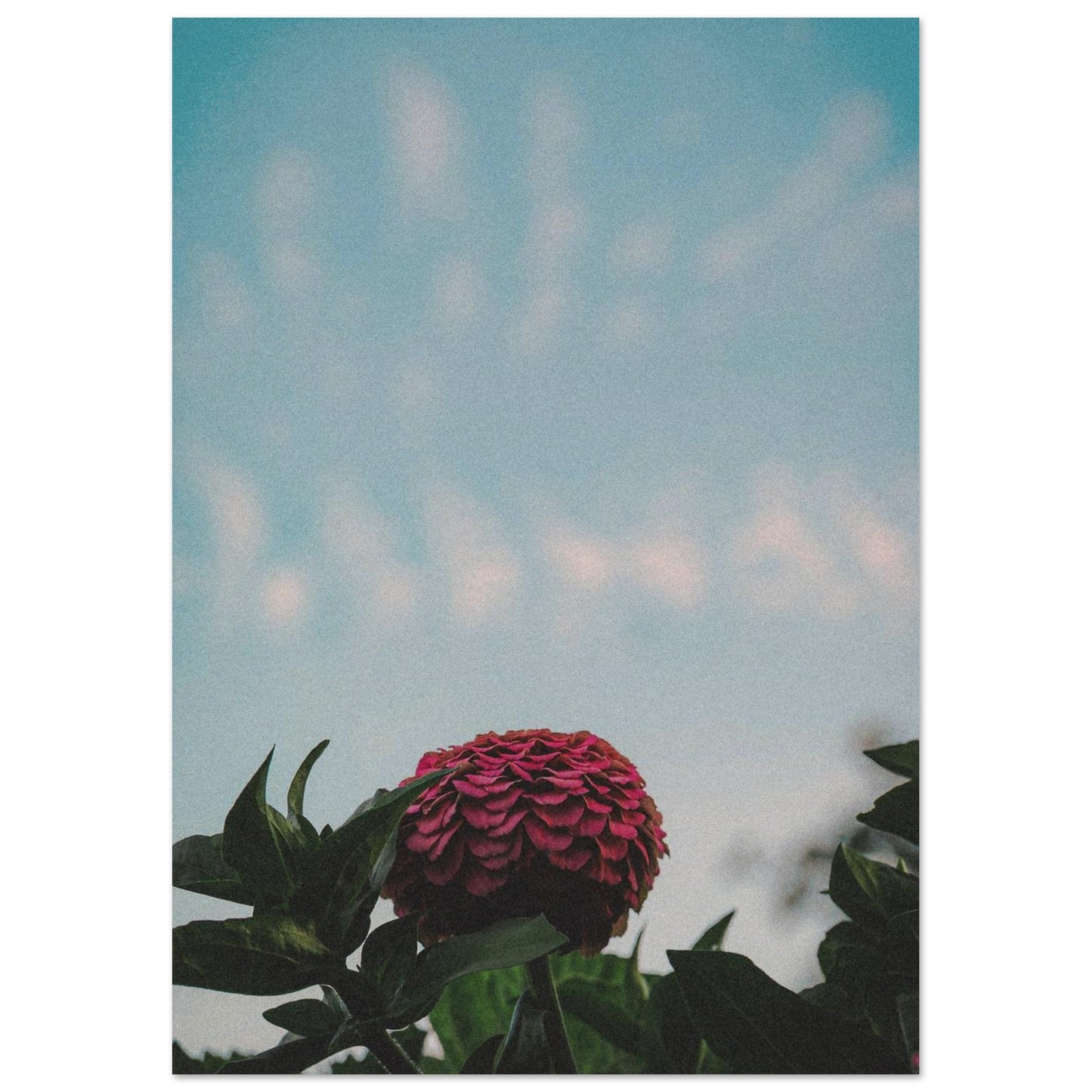 9a1dc7c8-188b-4b7b-bacb-484394493bbd