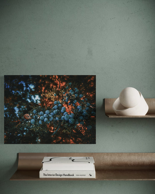Forest Berries Photography Print: Magical Woodland Wall Art