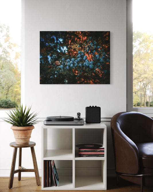 Forest Berries Photo Print: Moody Nature Art, Black Metal Frame