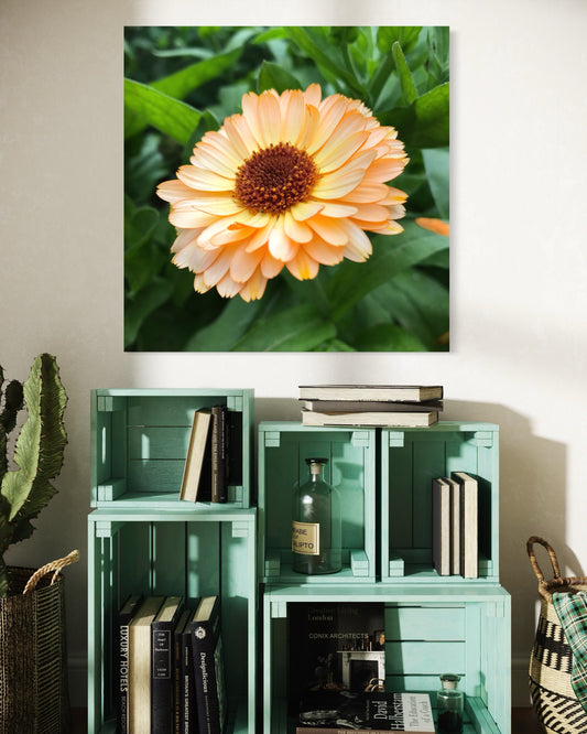 Yellow Daisy Botanical Art Print: Modern Floral Photography