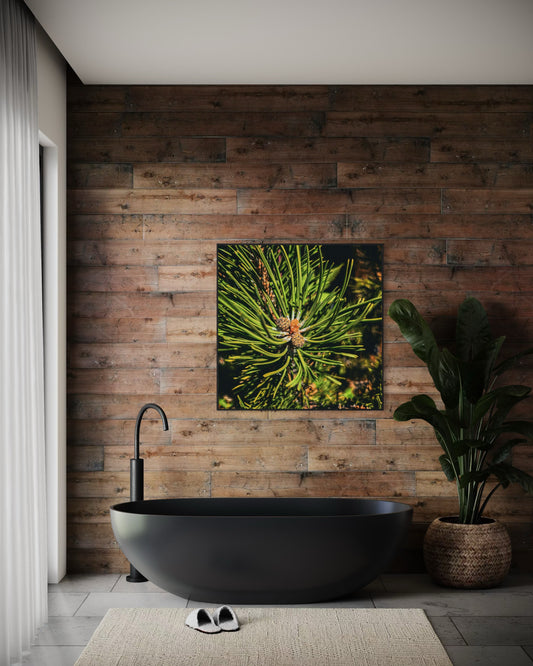 Pine Needle Macro Photography — Evergreen Nature Wall Art, Forest Botanical Print, Green Minimalist Home Decor by PolaDova. Museum-Quality Matte Paper Poster