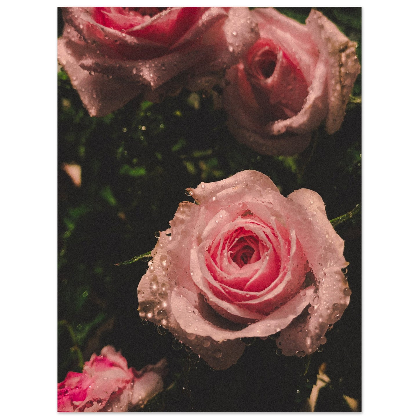 b4564501-6c99-4ef7-bdba-263fbe988f08