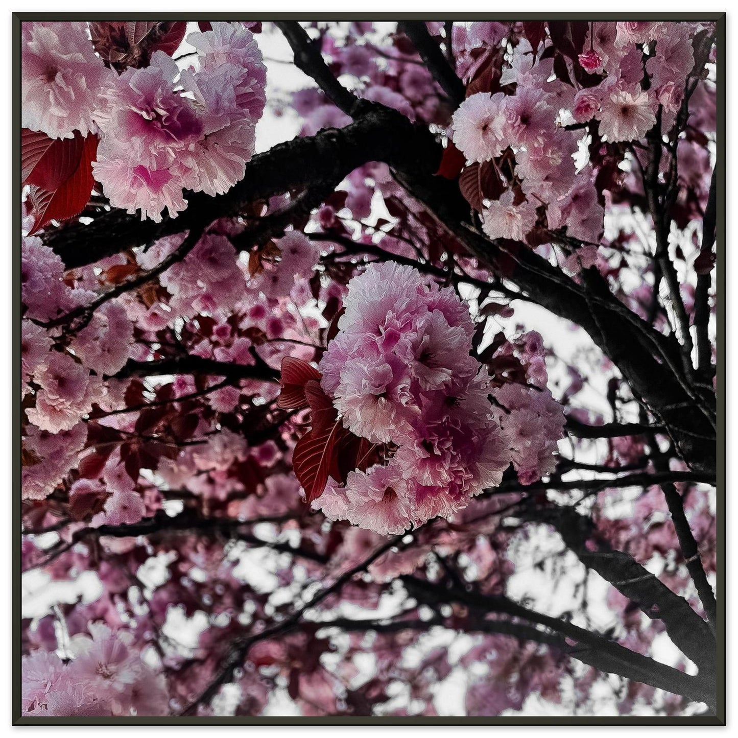 d65d7387-eb84-4a26-b000-a13cd14862f1