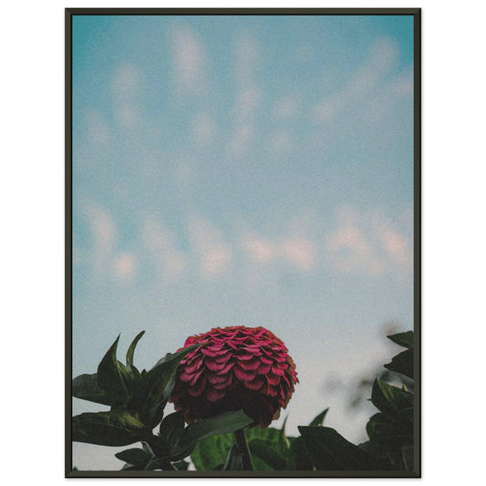 e2215d84-c08c-443b-9c1e-ccb06c77dba7