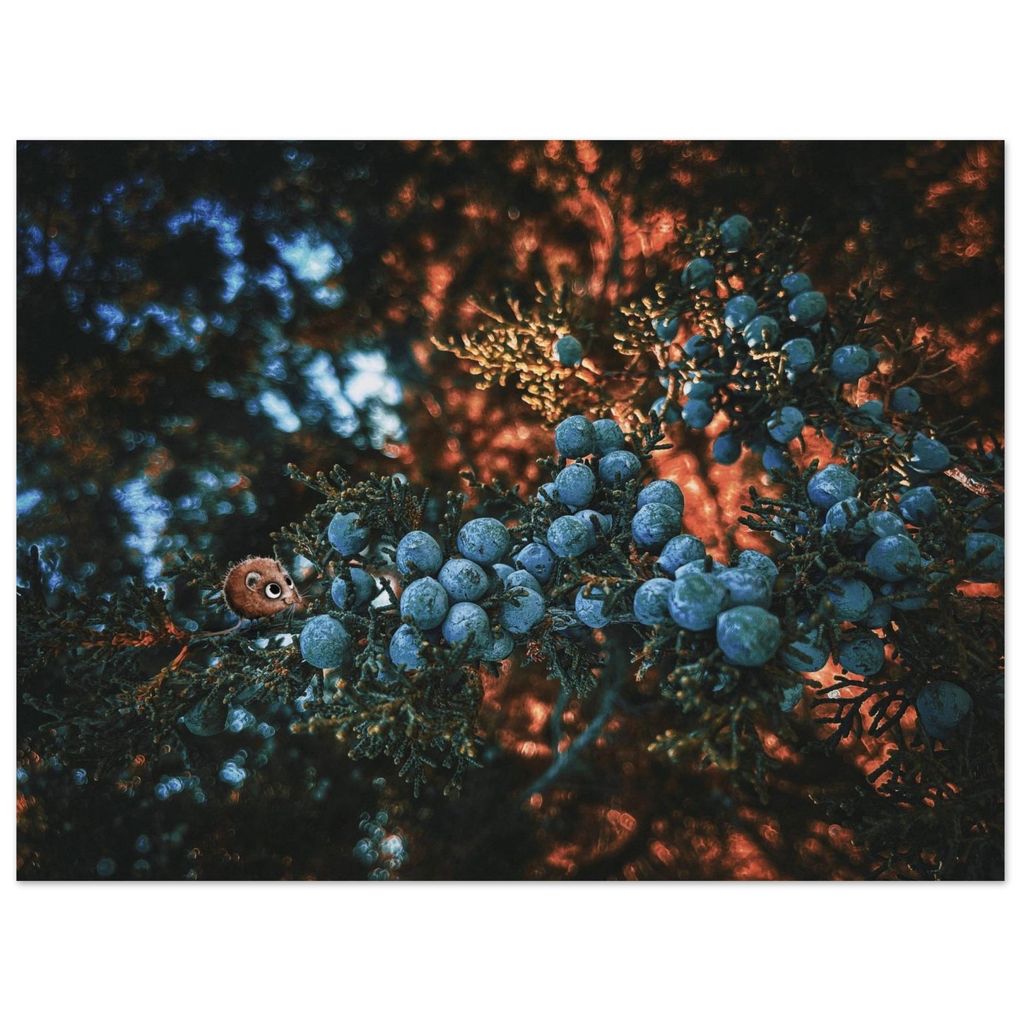 fdc038c6-ea10-4c4d-a656-9b26006445d2