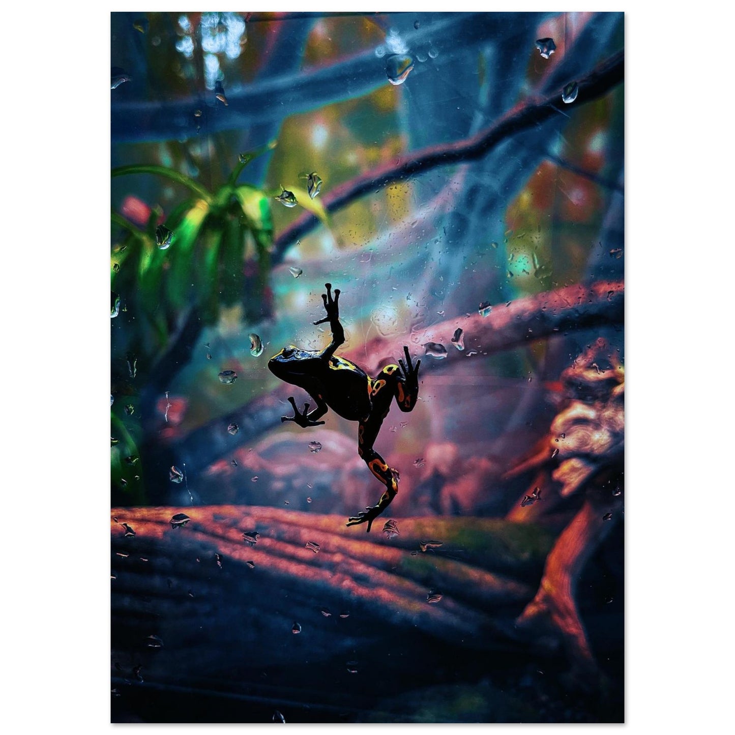 0011b818-dbf0-4f8d-b3f3-8a9cf004c369