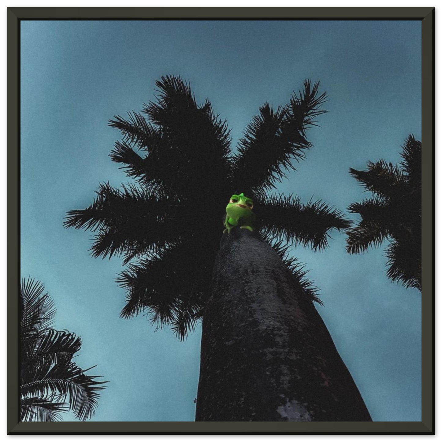 002f7904-956e-423b-a716-da25e730bc4c