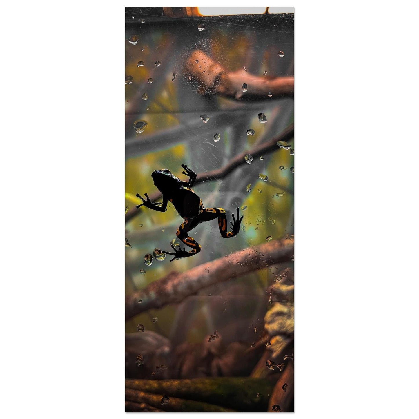 031fea32-8cbf-4fd6-8266-00ea4547de5a