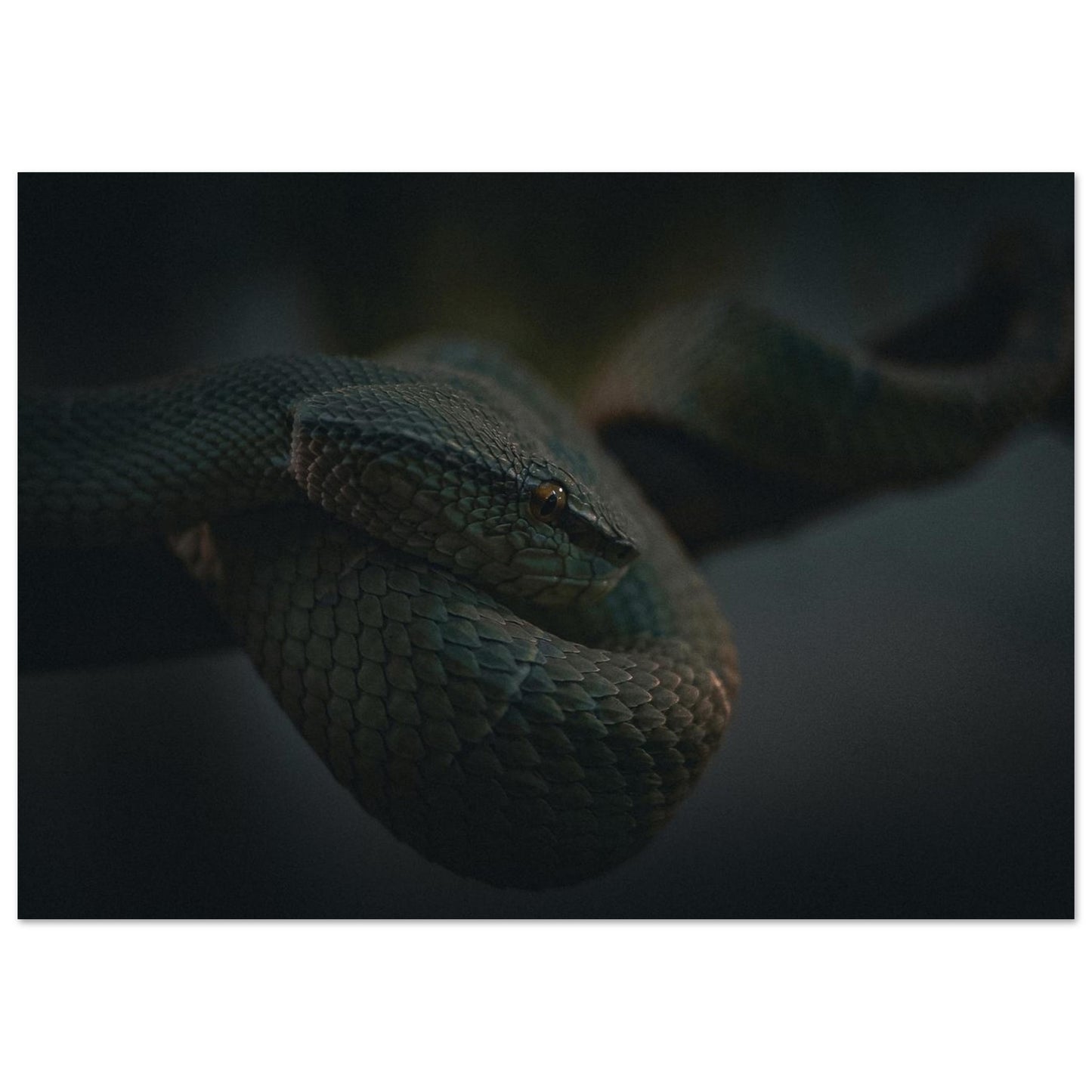 03abdbe3-8f0c-4d1e-9bb7-e0507e531c9a