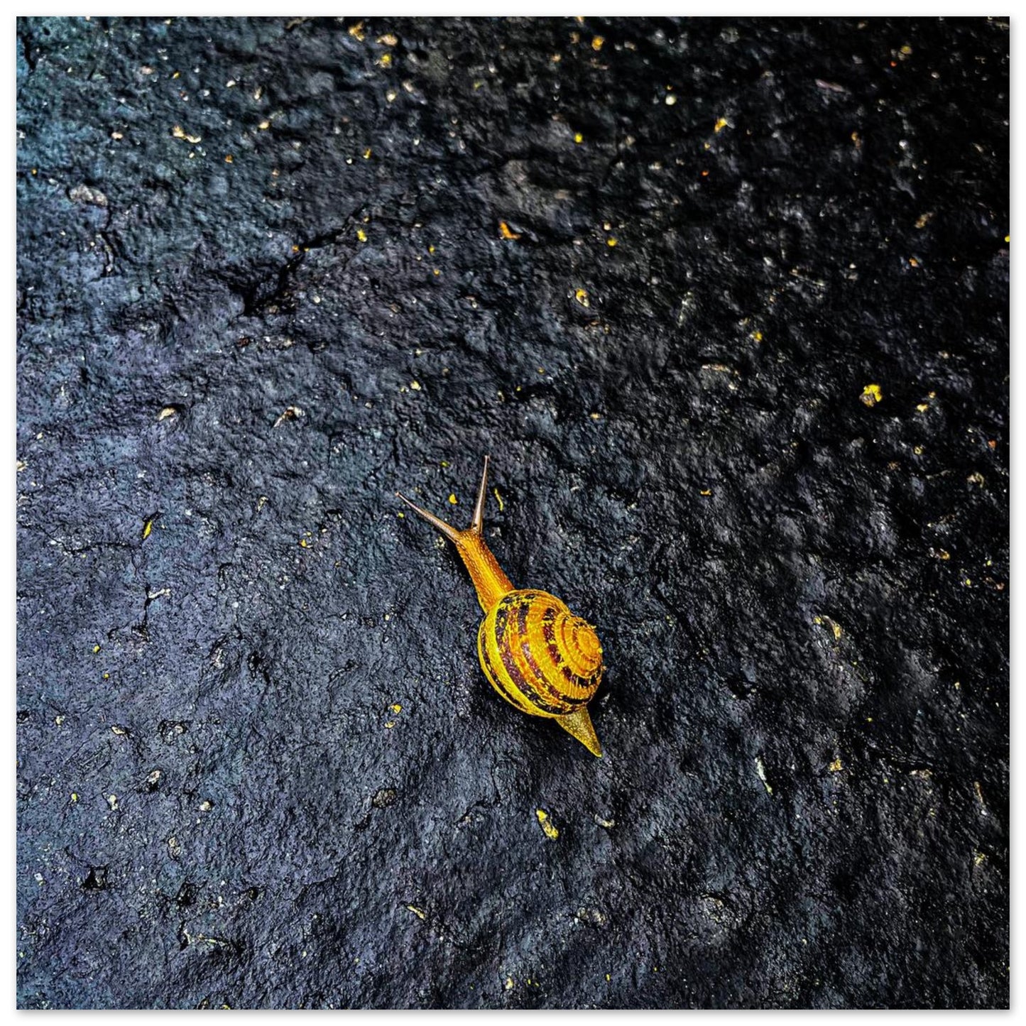 04405a9e-9a44-450c-b36c-220094b86256