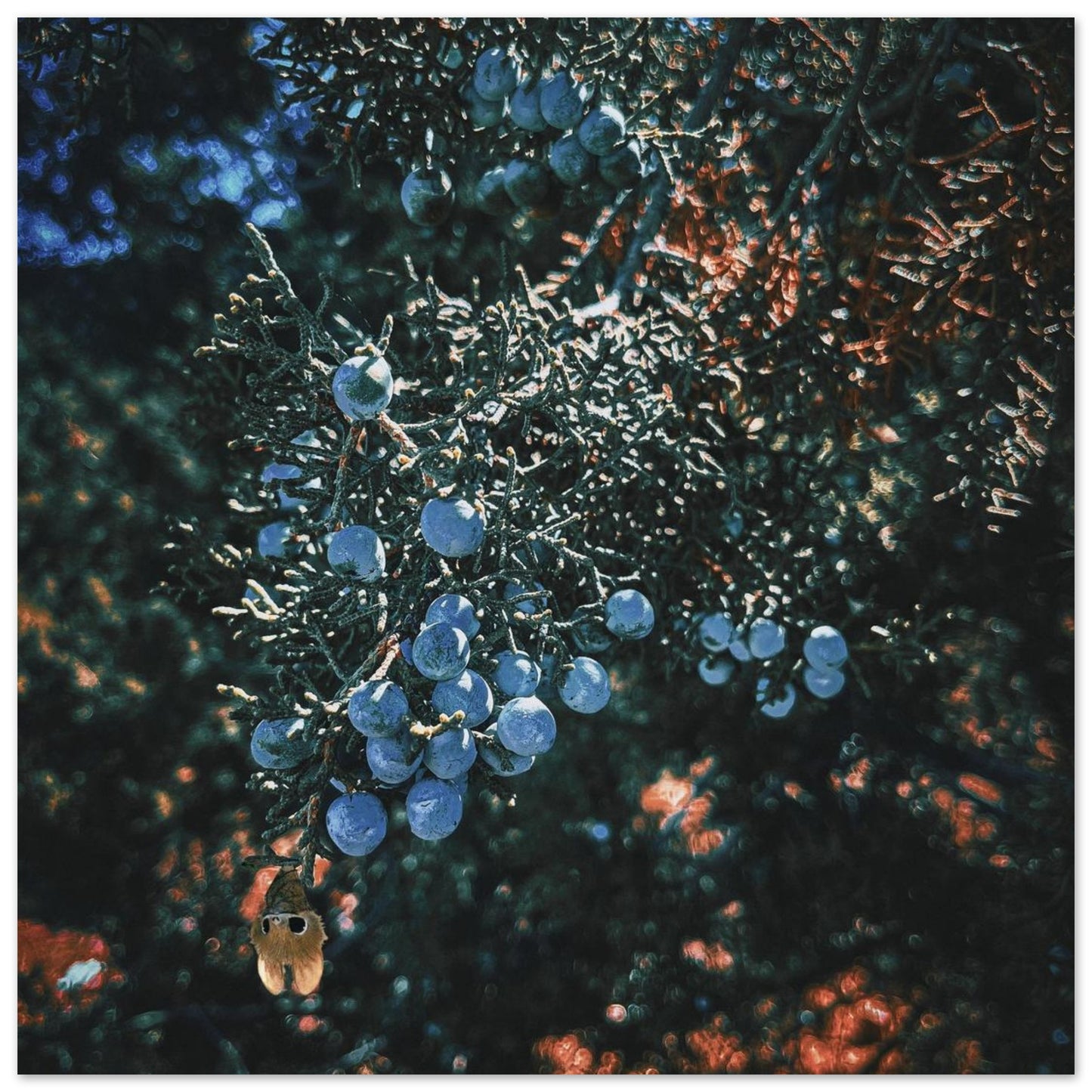 050fd527-f85a-4abd-be8a-eab9c65a9728