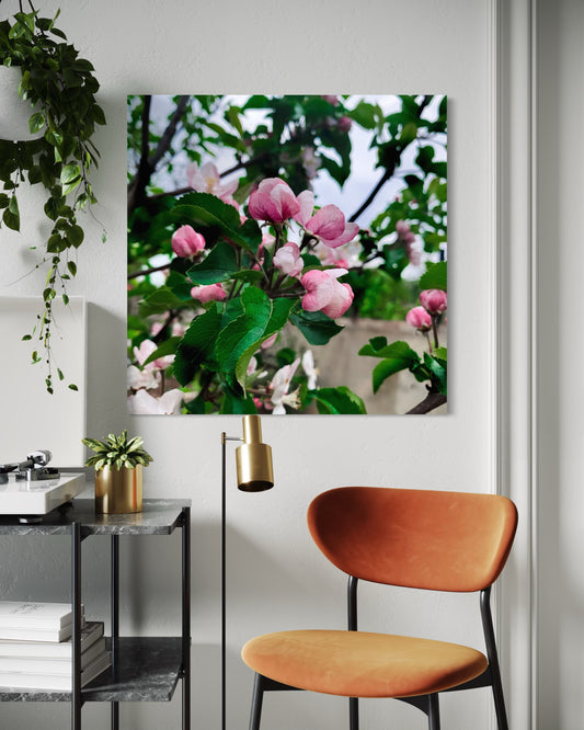 0534b7bb-f436-4dca-8d8e-1c31ce44d3e5