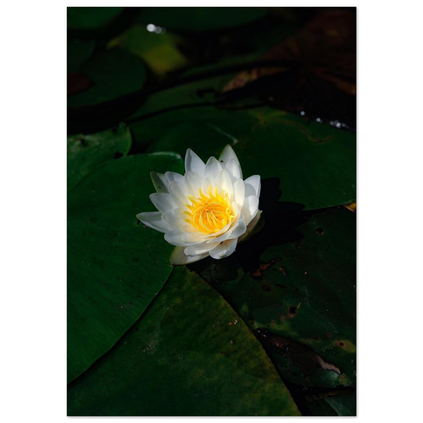 07e555ba-bd26-41d7-acb2-75edd64ba6e8