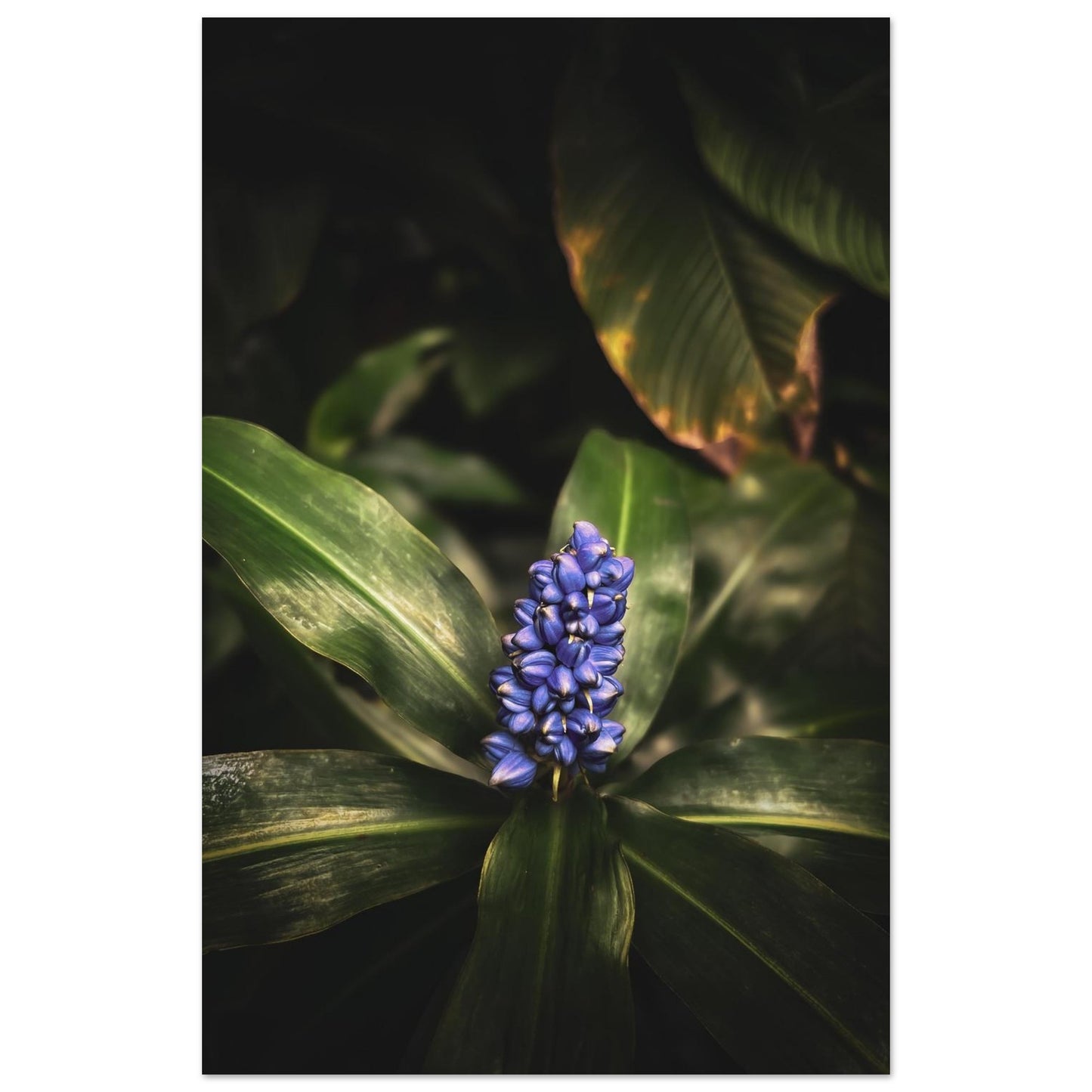 09e71bf3-2b08-4684-a44b-a04153995a44