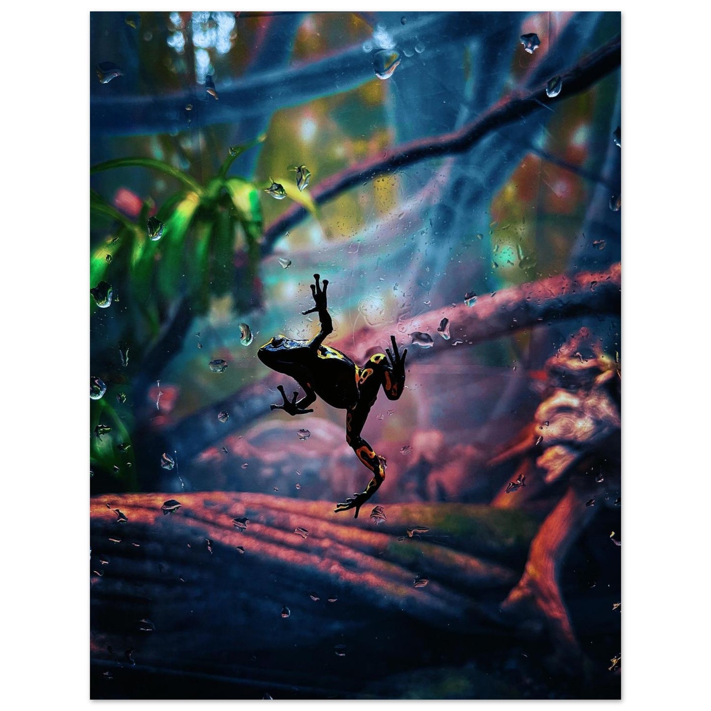 0aadc8a3-6331-4f08-8413-ba19000a4ffa