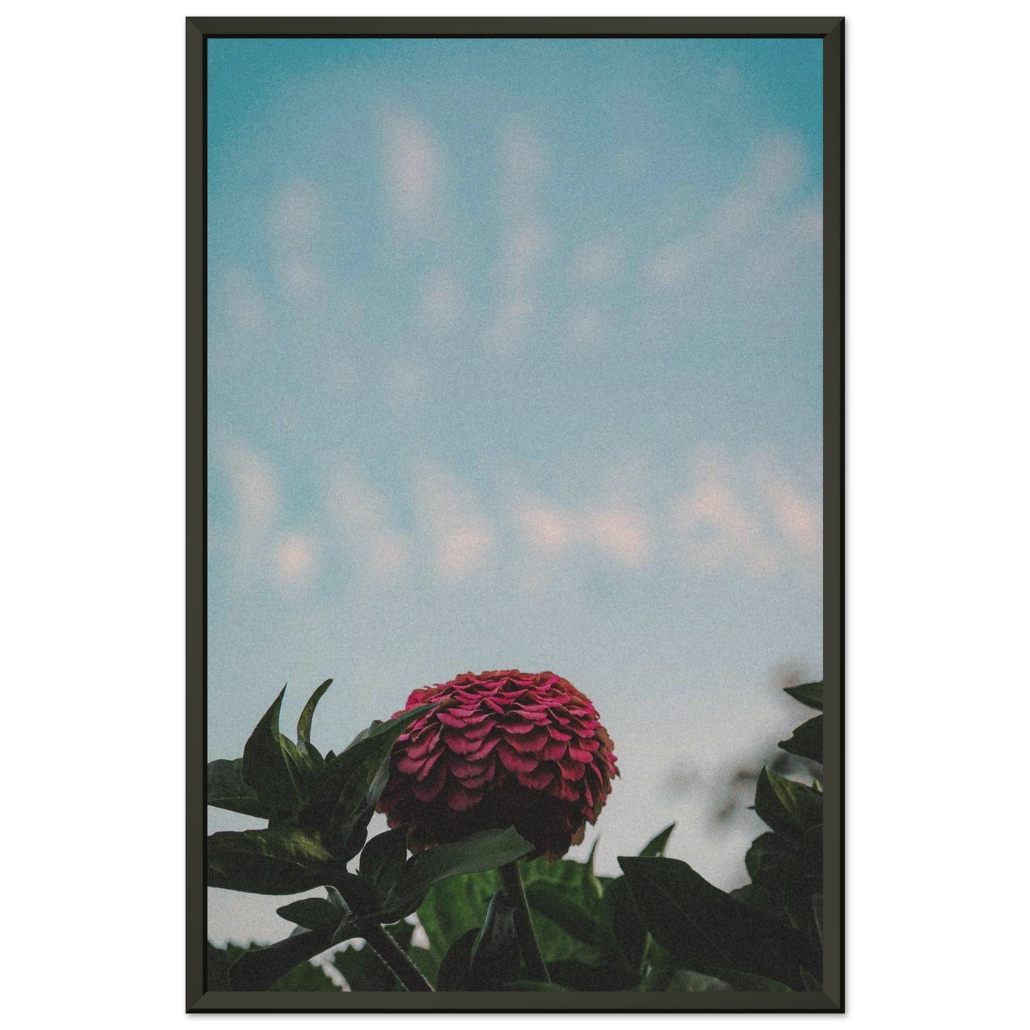 0b4f647c-5b9b-4d46-a051-c74370721a65