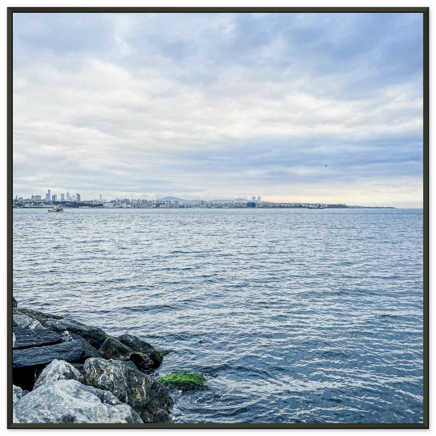 0b8212da-85be-44c0-bede-ce525048d753