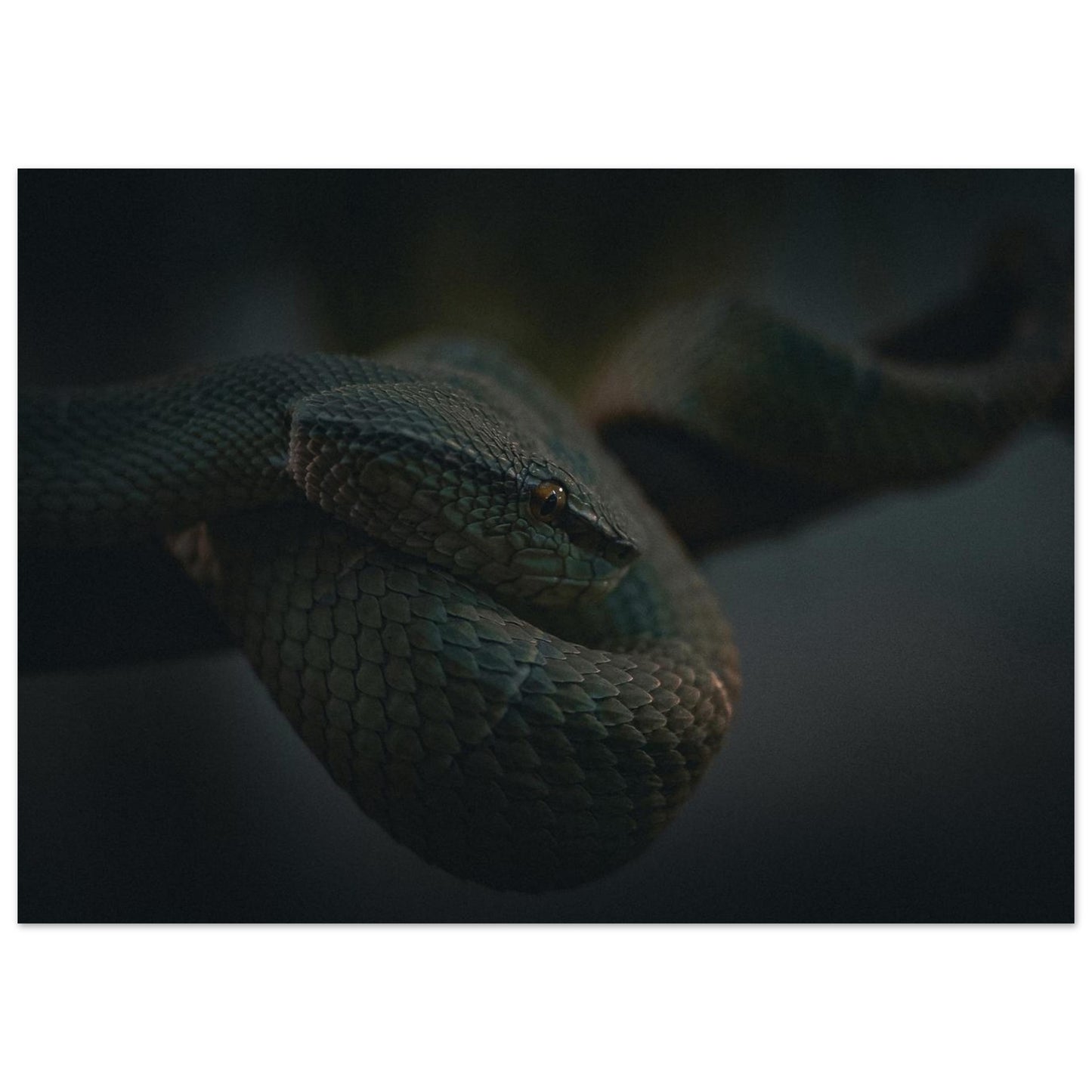 0bb6ee61-9e15-4652-91be-7e6c93f99273