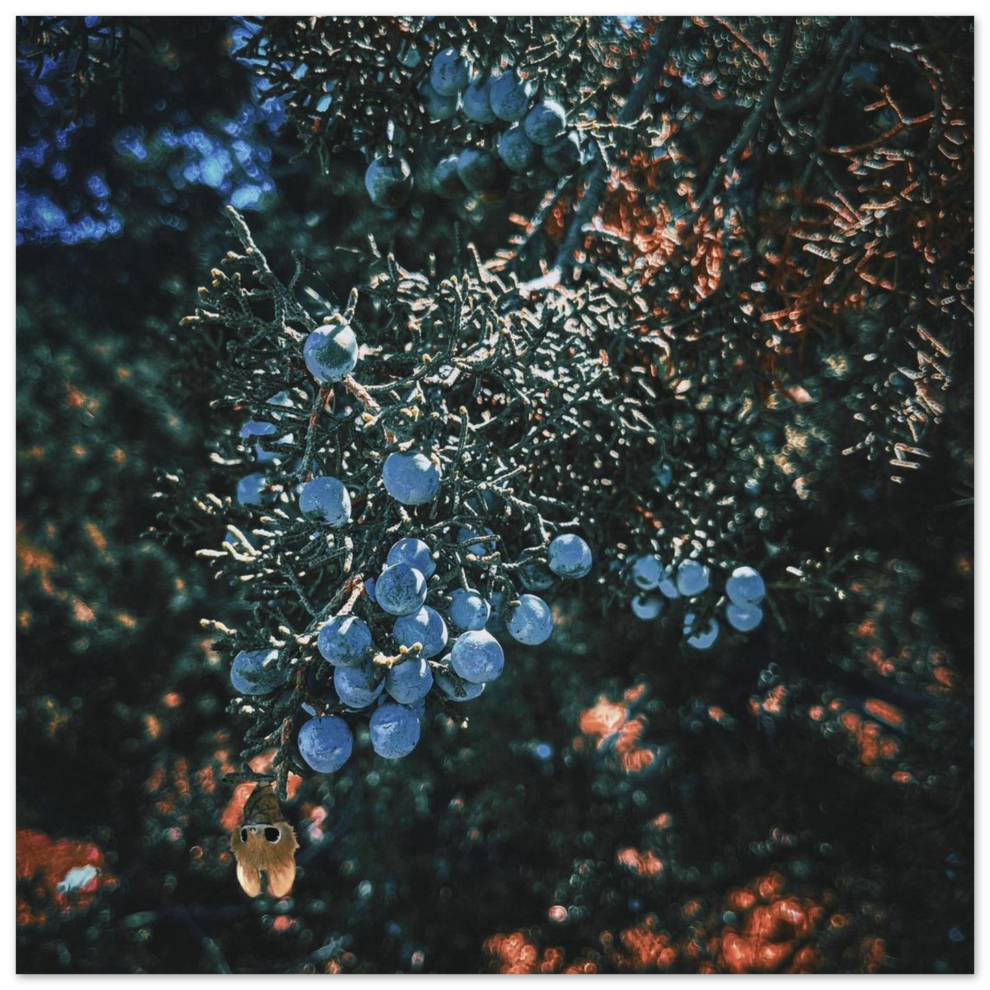 0bf83735-3c5d-4539-97f2-b45ddd52b4a0