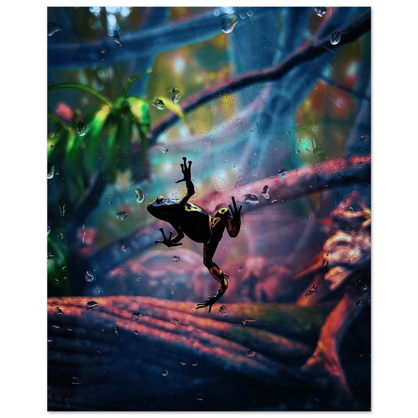 0db337d5-251e-44cd-a078-d0a87f08968c