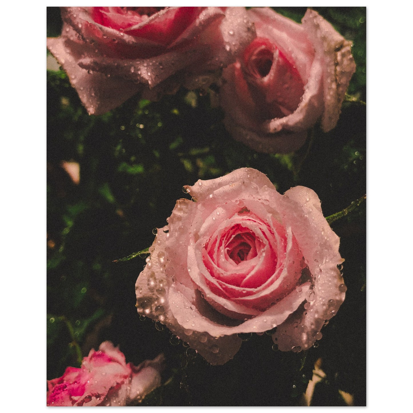 0dc486d5-ff05-44f5-86ba-077661e7bafb