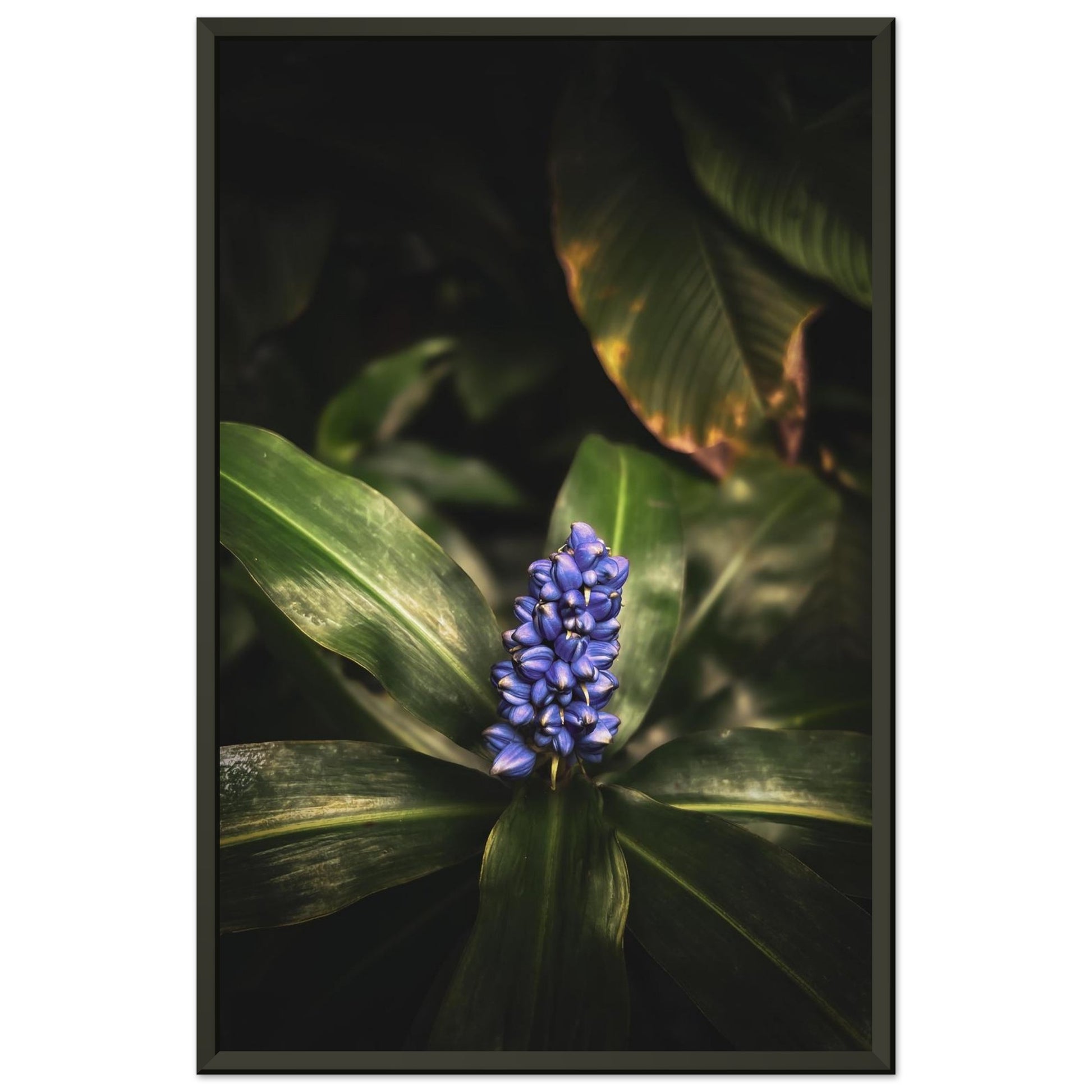 10103424-3b8f-470f-a7b2-13534635149f