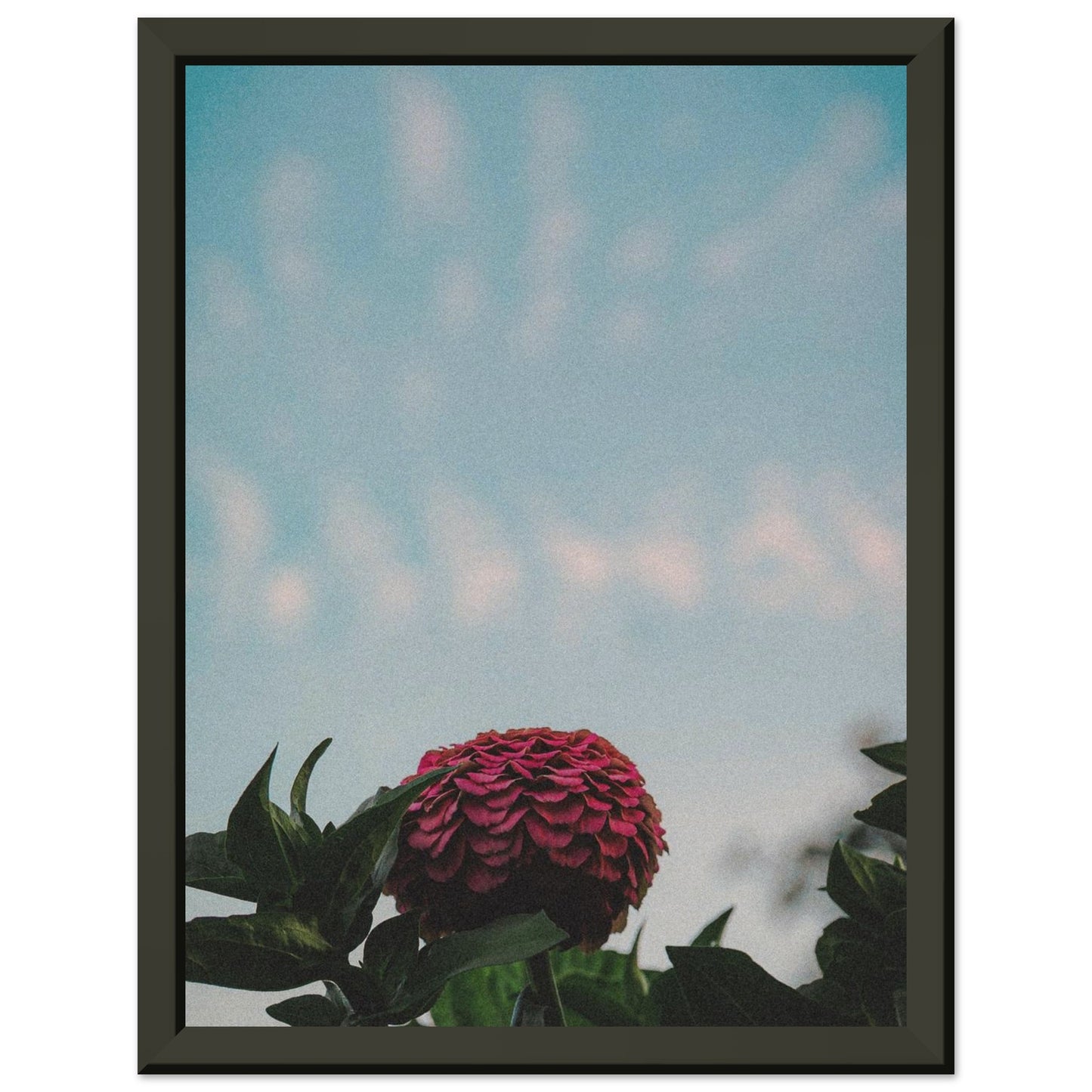 1056ba30-6c2c-4f9c-ab42-8f2374db0923