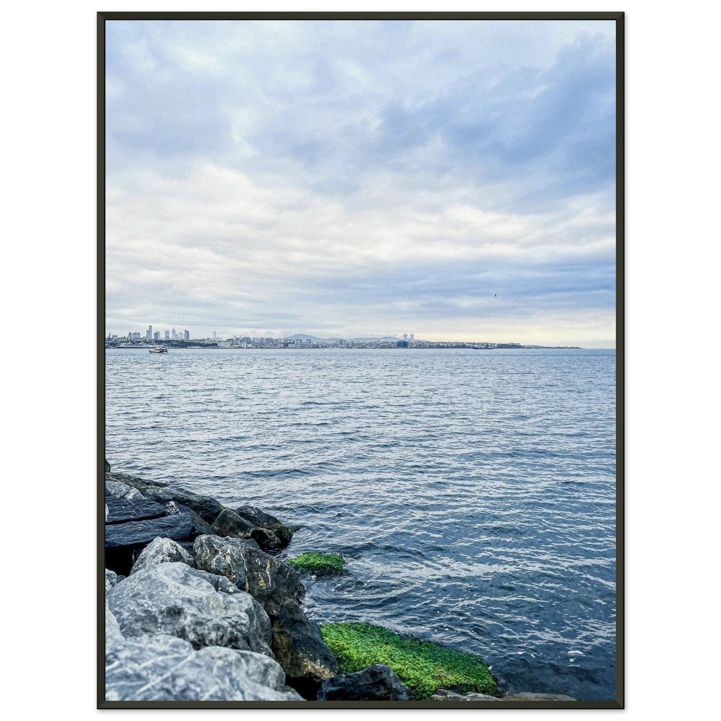 10a96dc7-90a1-45ee-9c93-ad35aa675083