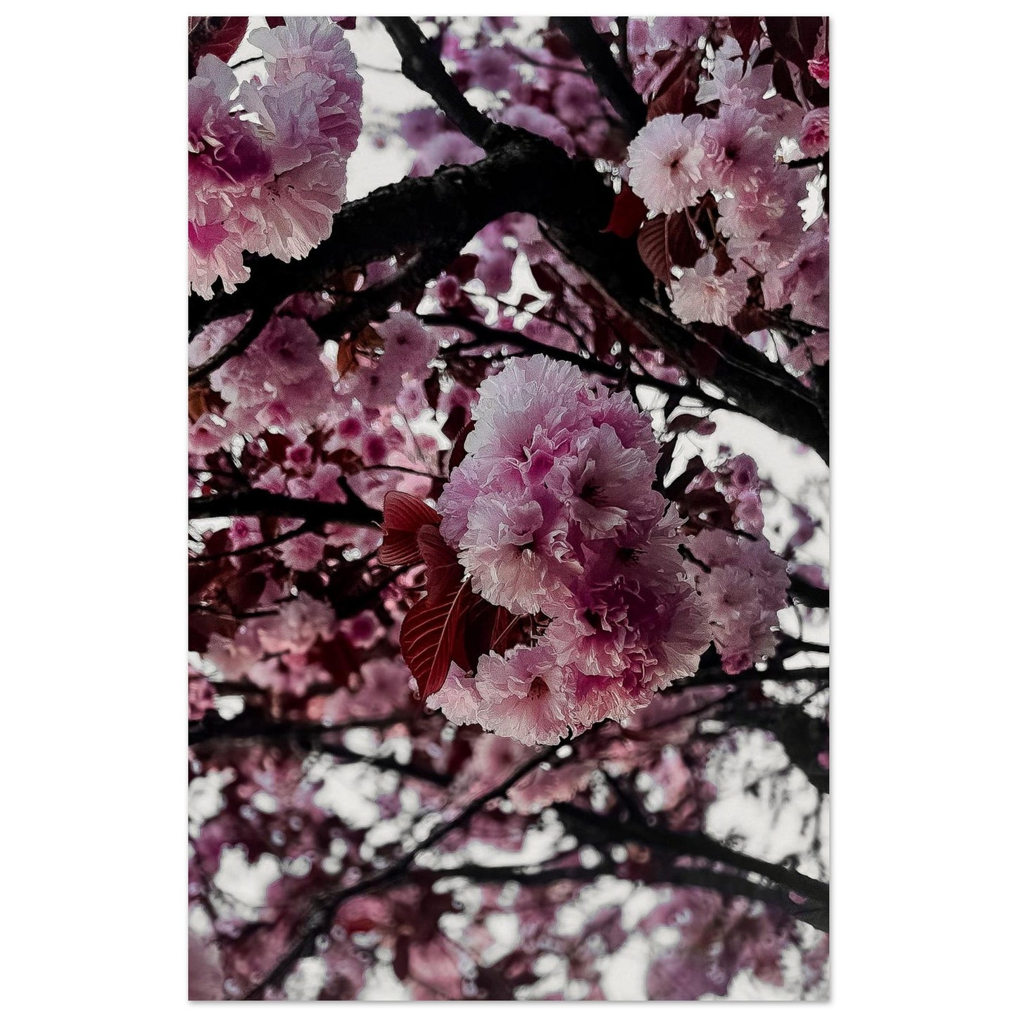 10ec958f-b330-45f9-95d6-4054bdda5a5b
