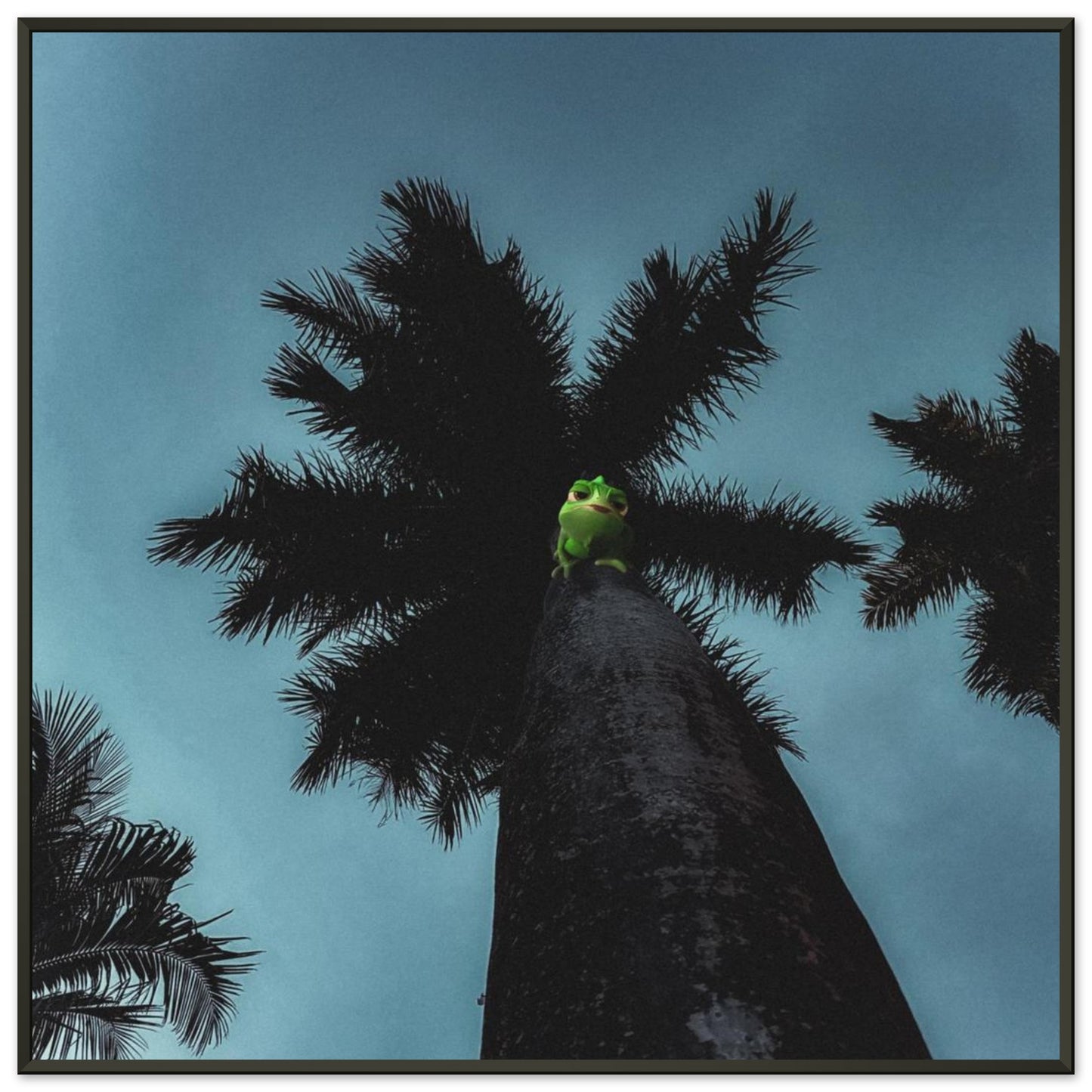 10f61c34-4ef6-496a-b626-0dc3ef2ffd1e