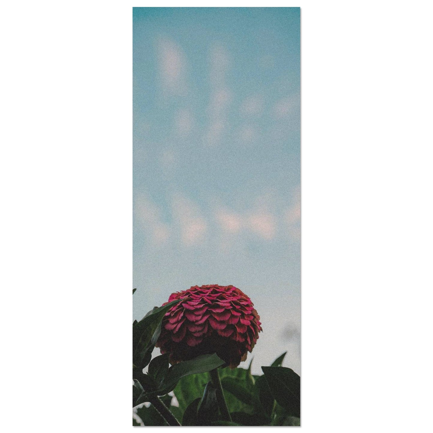 1106127f-e2e5-4e57-85ce-dfdda49aa664