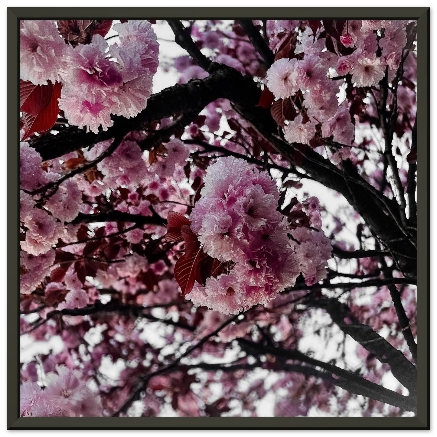 122d8aef-5a34-41bc-aa78-59e458c5d8b0