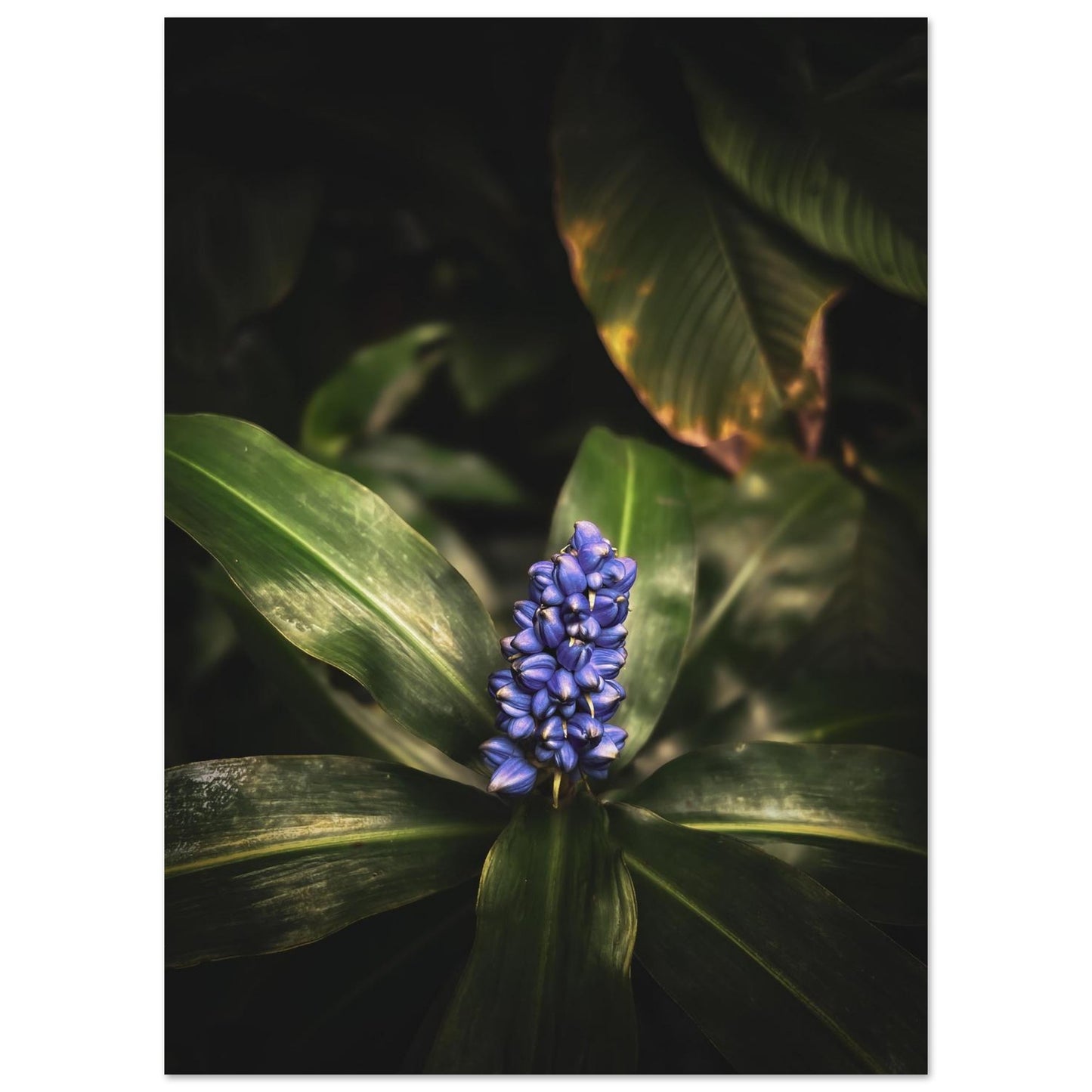 12bca2bd-3048-4320-85d4-d2b6431ce83a