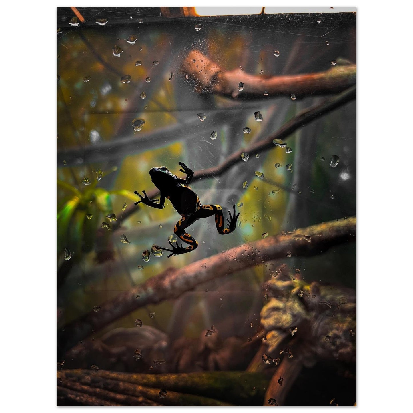 1319333e-d67b-48e1-8347-1166460a4bec