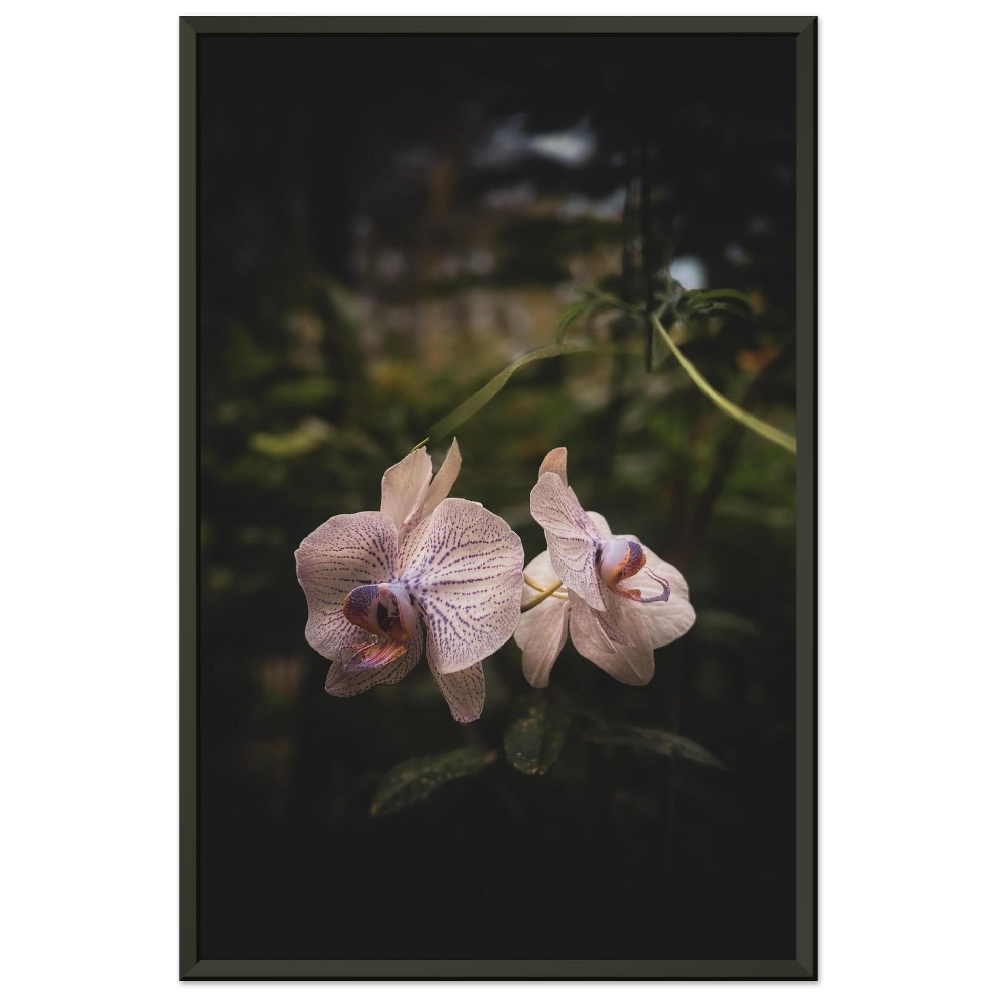 13953489-917a-4a32-b5fd-be407e5e04f7