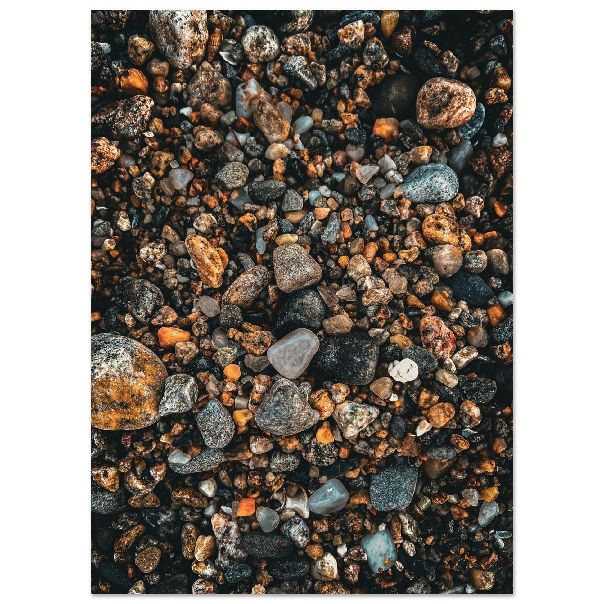 13ce2836-5b32-461b-81c2-456b2cd28053