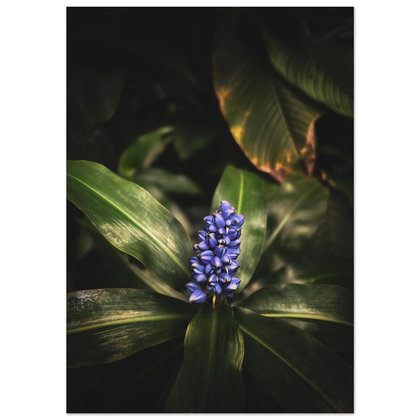 142273e6-04c0-4750-9278-375fdf7efa7e