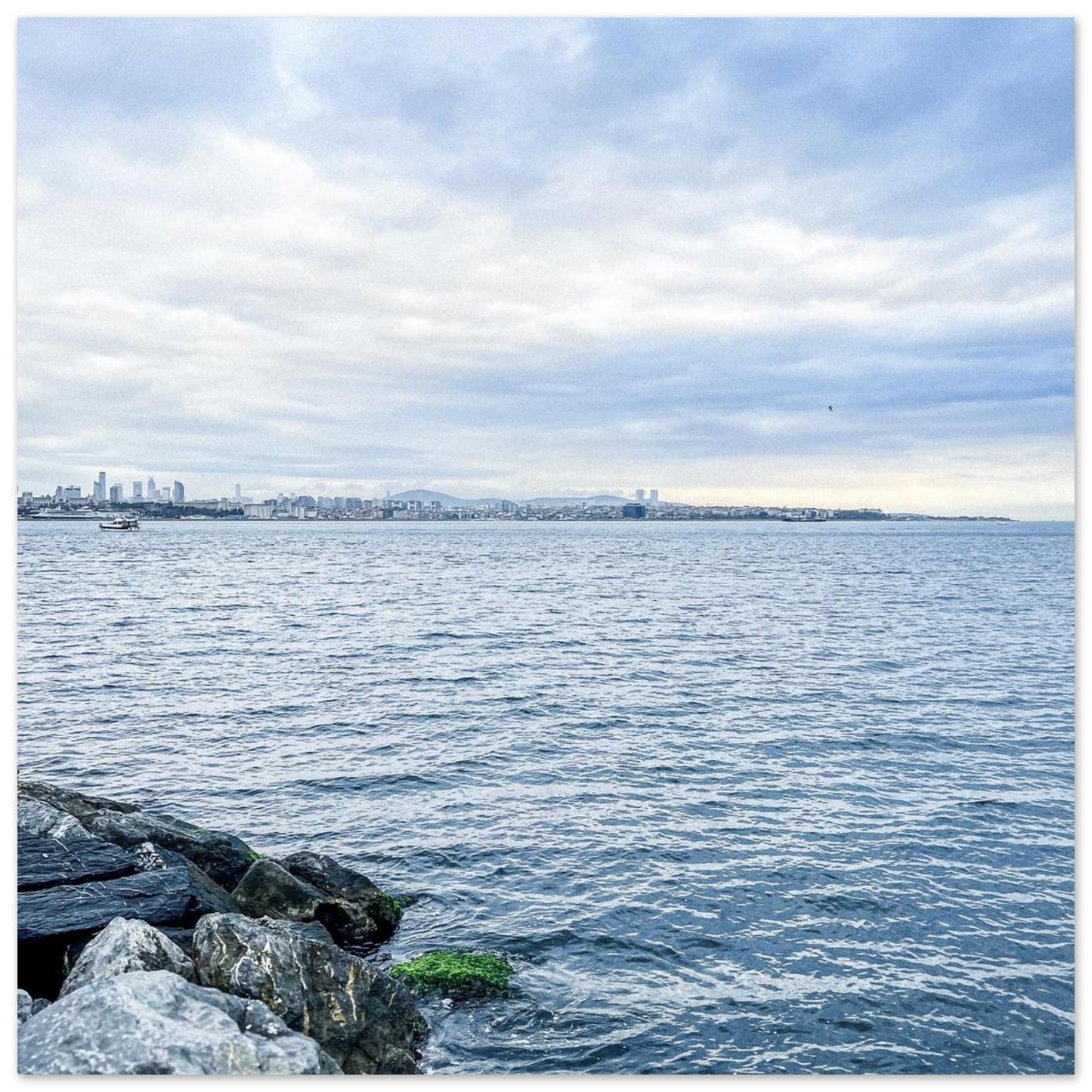 1440ed54-dfc8-4fed-9b01-e75ed656a0d2