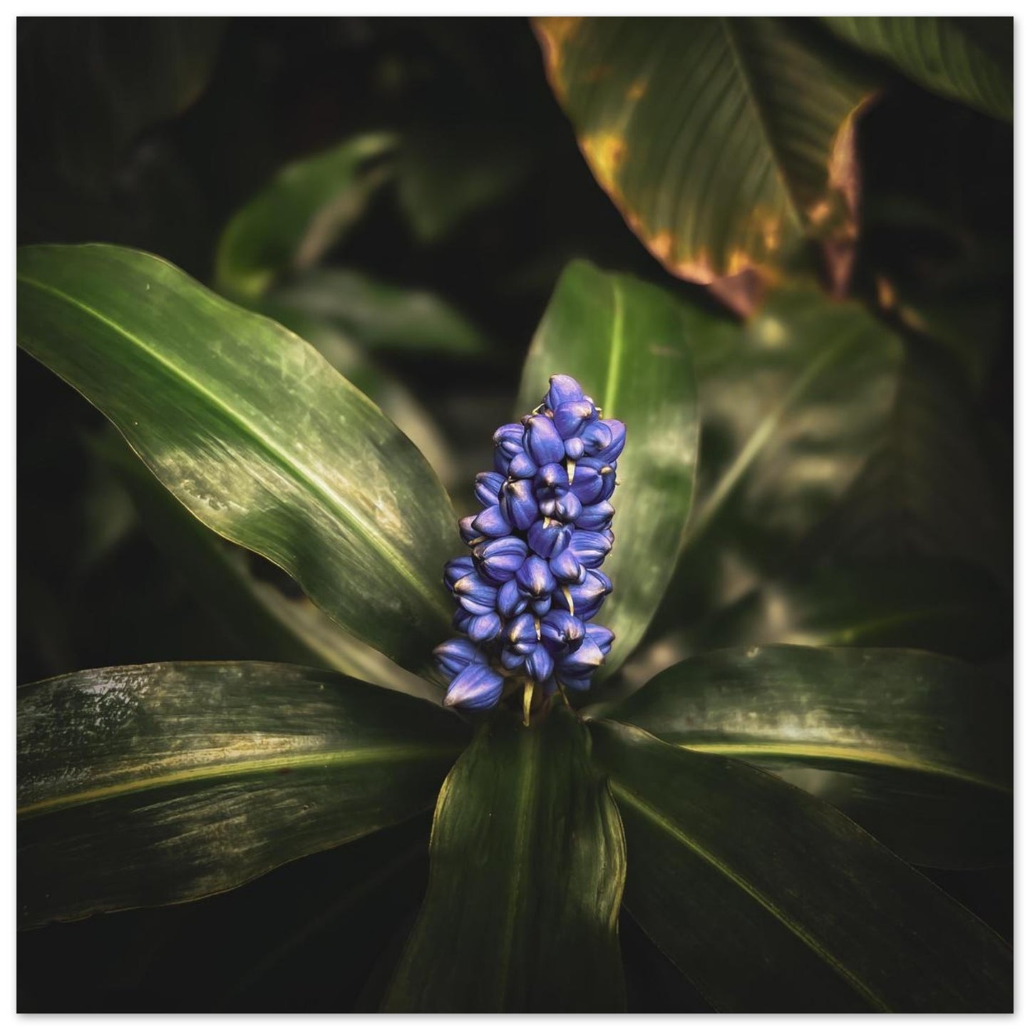 14f003de-dfbf-4457-97ff-a42f065f2fa3